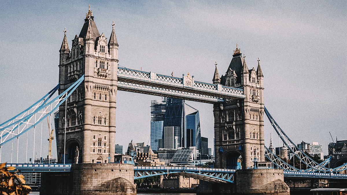 Visa Consultancy 2